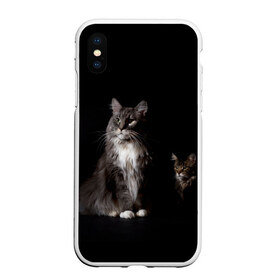 Чехол для iPhone XS Max матовый с принтом Котики в Тюмени, Силикон | Область печати: задняя сторона чехла, без боковых панелей | animal | animals | beast | black | cat | kitten | животное | животные | зверек | зверь | кот | котейка | котенок | котики | котэ | кошка | кошки | мейн кун | черная