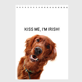 Скетчбук с принтом Ирландский сеттер в Тюмени, 100% бумага
 | 48 листов, плотность листов — 100 г/м2, плотность картонной обложки — 250 г/м2. Листы скреплены сверху удобной пружинной спиралью | Тематика изображения на принте: irish | kiss me | kiss me im irish | ирландец | ирландия | ирландский | ирландский сеттер | красный сеттер | поцелуй меня я ирландец | рыжий сеттер | сеттер