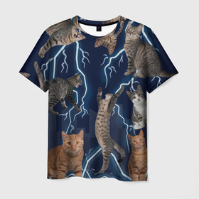 Мужская футболка 3D с принтом Коты в Тюмени, 100% полиэфир | прямой крой, круглый вырез горловины, длина до линии бедер | город | животное | забавный | кот | молния