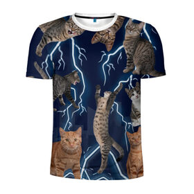 Мужская футболка 3D спортивная с принтом Коты в Тюмени, 100% полиэстер с улучшенными характеристиками | приталенный силуэт, круглая горловина, широкие плечи, сужается к линии бедра | город | животное | забавный | кот | молния