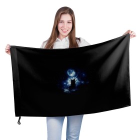 Флаг 3D с принтом Кот в Тюмени, 100% полиэстер | плотность ткани — 95 г/м2, размер — 67 х 109 см. Принт наносится с одной стороны | звезды | кот | луна | ночь | силуэт