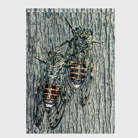 Скетчбук с принтом Цикады в Тюмени, 100% бумага
 | 48 листов, плотность листов — 100 г/м2, плотность картонной обложки — 250 г/м2. Листы скреплены сверху удобной пружинной спиралью | животные | жуки | мухи | насекомые | цикады | цикады на дереве