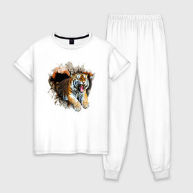 Женская пижама хлопок с принтом Тигр в Тюмени, 100% хлопок | брюки и футболка прямого кроя, без карманов, на брюках мягкая резинка на поясе и по низу штанин | animal | tiger | арт | животное | полосатый | рисунок | тигр | хищная кошка | хищник