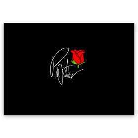 Поздравительная открытка с принтом PAYTON MOORMEIER в Тюмени, 100% бумага | плотность бумаги 280 г/м2, матовая, на обратной стороне линовка и место для марки
 | flower | payton moormeier | roses | tiktok | блогер | пейтон | пейтон моормиер | розы | тикток | тиктокер | цветы | ютубер