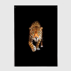Постер с принтом Ягуар в Тюмени, 100% бумага
 | бумага, плотность 150 мг. Матовая, но за счет высокого коэффициента гладкости имеет небольшой блеск и дает на свету блики, но в отличии от глянцевой бумаги не покрыта лаком | animal | art | black | cat | hunter | jaguar | leopard | арт | гепард | голова | животное | животные | зверь | клыки | кот | кошка | леопард | охотник | темнота | хищник | ягуар