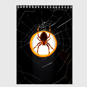 Скетчбук с принтом Spider в Тюмени, 100% бумага
 | 48 листов, плотность листов — 100 г/м2, плотность картонной обложки — 250 г/м2. Листы скреплены сверху удобной пружинной спиралью | animal | hunter | spider | животное | животные | лапы | охота | охотник | паук | паутина | хищник