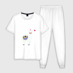 Мужская пижама хлопок с принтом Альпака-медсестра) в Тюмени, 100% хлопок | брюки и футболка прямого кроя, без карманов, на брюках мягкая резинка на поясе и по низу штанин
 | альпака | лама | медсестра