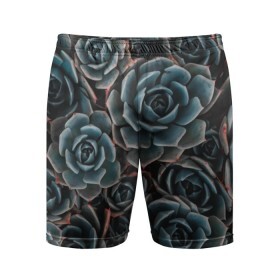 Мужские шорты спортивные с принтом Цветы Розы в Тюмени,  |  | bloom | blossom | flos | flowers | steel roses | красота | лепестки | растения | цветки | цветы
