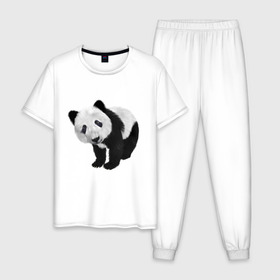 Мужская пижама хлопок с принтом Панда в Тюмени, 100% хлопок | брюки и футболка прямого кроя, без карманов, на брюках мягкая резинка на поясе и по низу штанин
 | животное | медведь | панда | пушистый | черно белое