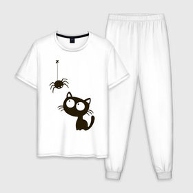 Мужская пижама хлопок с принтом Котик и паучек в Тюмени, 100% хлопок | брюки и футболка прямого кроя, без карманов, на брюках мягкая резинка на поясе и по низу штанин
 | высказывание | идея | котик | манера | мемы | паук | разные | рисунок | символ