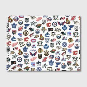 Альбом для рисования с принтом Логотипы НХЛ в Тюмени, 100% бумага
 | матовая бумага, плотность 200 мг. | Тематика изображения на принте: capitals | nhl | penguins | pittsburgh | washington | блюз | бостон | брюинз | вашингтон | детройт | кэпиталз | логотипы нхл | нью йорк | пингвинз | питтсбург | рейнджерс | сан хосе шаркс | сент луис | тампа бэй