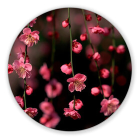 Коврик для мышки круглый с принтом Весна 2020. в Тюмени, резина и полиэстер | круглая форма, изображение наносится на всю лицевую часть | весенние картинки | весна | весна 2020 | зелнь | прекрасное время года | прикольные картинки | природа | птицы | тюльпаны | цветы