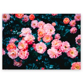 Поздравительная открытка с принтом Dark flowers в Тюмени, 100% бумага | плотность бумаги 280 г/м2, матовая, на обратной стороне линовка и место для марки
 | dark | flowers | leaves | roses | весна | лепестки | розы | сад | цветы