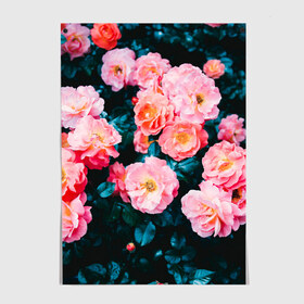 Постер с принтом Dark flowers в Тюмени, 100% бумага
 | бумага, плотность 150 мг. Матовая, но за счет высокого коэффициента гладкости имеет небольшой блеск и дает на свету блики, но в отличии от глянцевой бумаги не покрыта лаком | dark | flowers | leaves | roses | весна | лепестки | розы | сад | цветы