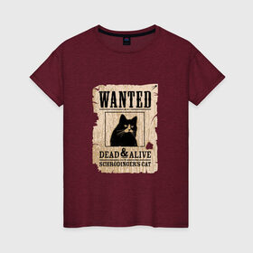 Женская футболка хлопок с принтом Кот в Тюмени, 100% хлопок | прямой крой, круглый вырез горловины, длина до линии бедер, слегка спущенное плечо | cat | wanted | живым или мертвым | кот | кот шредингера | котэ | опасен | разыскивается | чёрный кот