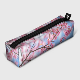 Пенал 3D с принтом Ветки Сакуры в Тюмени, 100% полиэстер | плотная ткань, застежка на молнии | абрикос | весна | ветки | ветки сакуры | сакура ветки | цветение | цветы