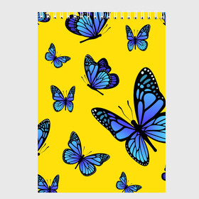 Скетчбук с принтом БАБОЧКИ в Тюмени, 100% бумага
 | 48 листов, плотность листов — 100 г/м2, плотность картонной обложки — 250 г/м2. Листы скреплены сверху удобной пружинной спиралью | animals | blue | butterflies | game | insects | life is strange | moth | wings | бабочки | животные | игра | крылья | мотылек | насекомые
