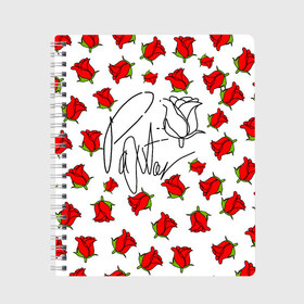 Тетрадь с принтом PAYTON MOORMEIER - ТИКТОК в Тюмени, 100% бумага | 48 листов, плотность листов — 60 г/м2, плотность картонной обложки — 250 г/м2. Листы скреплены сбоку удобной пружинной спиралью. Уголки страниц и обложки скругленные. Цвет линий — светло-серый
 | flower | payton moormeier | roses | tiktok | блогер | пейтон | пейтон моормиер | розы | тикток | тиктокер | цветы | ютубер