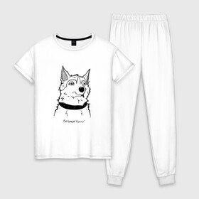 Женская пижама хлопок с принтом Курьер - Шарик 2 в Тюмени, 100% хлопок | брюки и футболка прямого кроя, без карманов, на брюках мягкая резинка на поясе и по низу штанин | reminor | животные | курьер | мультфильм | пес | собака | шарик