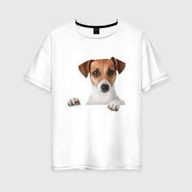 Женская футболка хлопок Oversize с принтом Собака в Тюмени, 100% хлопок | свободный крой, круглый ворот, спущенный рукав, длина до линии бедер
 | джек рассел | друг | пес | питомец | собака