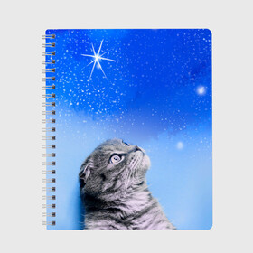 Тетрадь с принтом Кот и космос в Тюмени, 100% бумага | 48 листов, плотность листов — 60 г/м2, плотность картонной обложки — 250 г/м2. Листы скреплены сбоку удобной пружинной спиралью. Уголки страниц и обложки скругленные. Цвет линий — светло-серый
 | Тематика изображения на принте: cat | cat and space | kitty | в космосе | звездное небо | звёзды | космический кот | кот | кот в космосе | кот и звезды | кот смотрит | кот смотрит на небо | котенок | котик | кошка