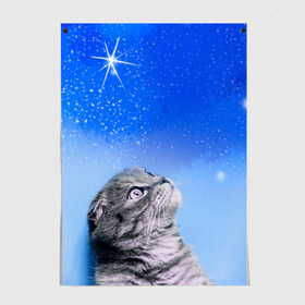 Постер с принтом Кот и космос в Тюмени, 100% бумага
 | бумага, плотность 150 мг. Матовая, но за счет высокого коэффициента гладкости имеет небольшой блеск и дает на свету блики, но в отличии от глянцевой бумаги не покрыта лаком | cat | cat and space | kitty | в космосе | звездное небо | звёзды | космический кот | кот | кот в космосе | кот и звезды | кот смотрит | кот смотрит на небо | котенок | котик | кошка