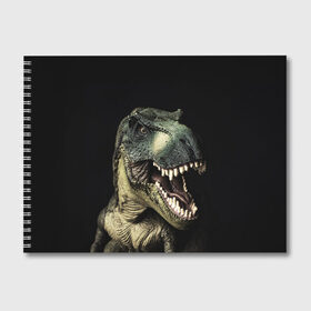 Альбом для рисования с принтом Динозавр T-Rex в Тюмени, 100% бумага
 | матовая бумага, плотность 200 мг. | dino | dinosauria | t rex | ti rex | дино | динозавр | парк юрского | т рекс | ти рекс | чудовище | юрский период | ящер | ящерица