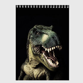 Скетчбук с принтом Динозавр T-Rex в Тюмени, 100% бумага
 | 48 листов, плотность листов — 100 г/м2, плотность картонной обложки — 250 г/м2. Листы скреплены сверху удобной пружинной спиралью | dino | dinosauria | t rex | ti rex | дино | динозавр | парк юрского | т рекс | ти рекс | чудовище | юрский период | ящер | ящерица