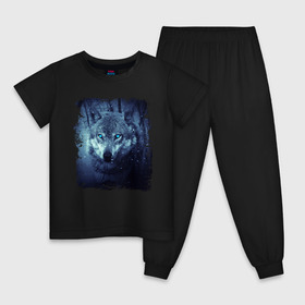 Детская пижама хлопок с принтом Волк в Тюмени, 100% хлопок |  брюки и футболка прямого кроя, без карманов, на брюках мягкая резинка на поясе и по низу штанин
 | wolf | волк | волк в лесу | волк с голубыми глазами | лесной волк | ночной волк | синий волк | собака | темный волк