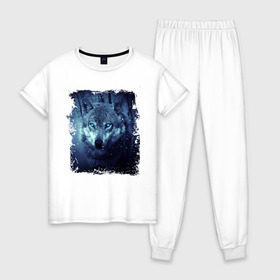 Женская пижама хлопок с принтом Волк в Тюмени, 100% хлопок | брюки и футболка прямого кроя, без карманов, на брюках мягкая резинка на поясе и по низу штанин | wolf | волк | волк в лесу | волк с голубыми глазами | лесной волк | ночной волк | синий волк | собака | темный волк