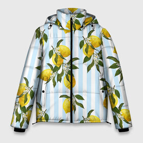 Мужская зимняя куртка 3D с принтом Лимоны в Тюмени, верх — 100% полиэстер; подкладка — 100% полиэстер; утеплитель — 100% полиэстер | длина ниже бедра, свободный силуэт Оверсайз. Есть воротник-стойка, отстегивающийся капюшон и ветрозащитная планка. 

Боковые карманы с листочкой на кнопках и внутренний карман на молнии. | Тематика изображения на принте: texture | абстракт | абстракция | весна | лайм | лимон | лимоны | линии | листья | полосы | стиль | текстура
