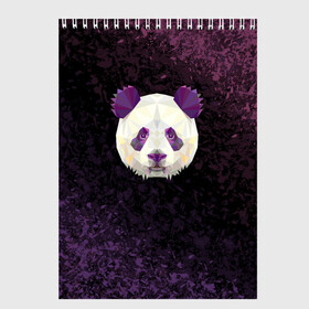 Скетчбук с принтом Панда в Тюмени, 100% бумага
 | 48 листов, плотность листов — 100 г/м2, плотность картонной обложки — 250 г/м2. Листы скреплены сверху удобной пружинной спиралью | animal | cute panda | mood | pandas | животное | милая пандочка | настроение | панда | панды