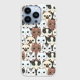 Чехол для iPhone 13 Pro с принтом Кошачьи моськи в Тюмени,  |  | кот | коты | кошка | кошки | милота | много пород | мордочки
