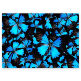 Поздравительная открытка с принтом Рой бабочек в Тюмени, 100% бумага | плотность бумаги 280 г/м2, матовая, на обратной стороне линовка и место для марки
 | бабочки | рой | синий | черный