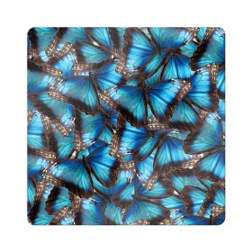Магнит виниловый Квадрат с принтом Небесный рой в Тюмени, полимерный материал с магнитным слоем | размер 9*9 см, закругленные углы | Тематика изображения на принте: бабочка | бабочки | белый | синий | черный | яркий цвет
