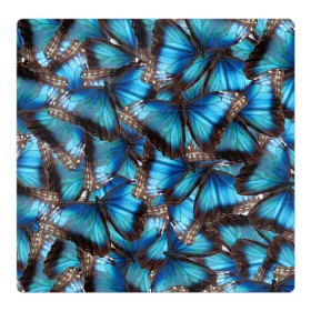Магнитный плакат 3Х3 с принтом Небесный рой в Тюмени, Полимерный материал с магнитным слоем | 9 деталей размером 9*9 см | бабочка | бабочки | белый | синий | черный | яркий цвет