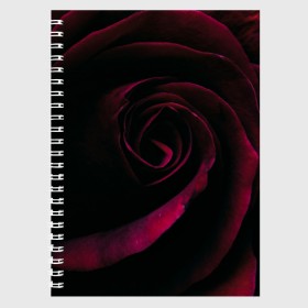 Тетрадь с принтом Dark Rose в Тюмени, 100% бумага | 48 листов, плотность листов — 60 г/м2, плотность картонной обложки — 250 г/м2. Листы скреплены сбоку удобной пружинной спиралью. Уголки страниц и обложки скругленные. Цвет линий — светло-серый
 | Тематика изображения на принте: art | dark | flower | red | rose | арт | бутон | лепестки | роза | текстура | темный | цветы