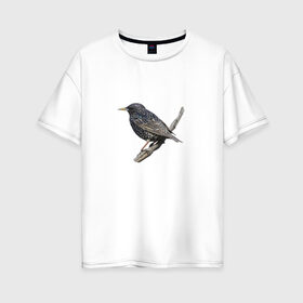Женская футболка хлопок Oversize с принтом Скворец в Тюмени, 100% хлопок | свободный крой, круглый ворот, спущенный рукав, длина до линии бедер
 | скворец | скворец на ветке