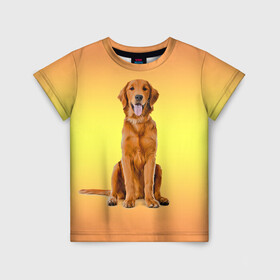 Детская футболка 3D с принтом Золотистый ретривер в Тюмени, 100% гипоаллергенный полиэфир | прямой крой, круглый вырез горловины, длина до линии бедер, чуть спущенное плечо, ткань немного тянется | домашние любимцы | животные | золотистый ретривер | собака