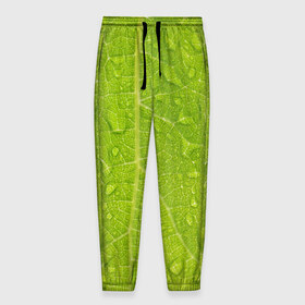 Мужские брюки 3D с принтом Листок с росой в Тюмени, 100% полиэстер | манжеты по низу, эластичный пояс регулируется шнурком, по бокам два кармана без застежек, внутренняя часть кармана из мелкой сетки | Тематика изображения на принте: зеленый | капли | перерода | текстура