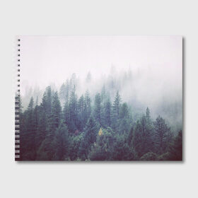 Альбом для рисования с принтом Сибирский лес в Тюмени, 100% бумага
 | матовая бумага, плотность 200 мг. | Тематика изображения на принте: siberia | trees | wood | деревья | ели | ёлки | ель | зеленый лес | лес | лес в тумане | леса | природа | сибирский лес | сибирь | таежные леса | таёжный лес | тайга | туман