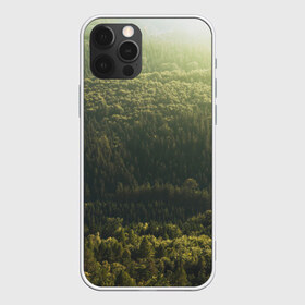 Чехол для iPhone 12 Pro Max с принтом Летний лес в Тюмени, Силикон |  | дерево | деревья | зеленый | лес | лето | небо | облако | солнце | темный | ярко