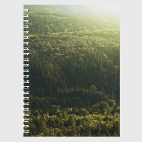 Тетрадь с принтом Летний лес в Тюмени, 100% бумага | 48 листов, плотность листов — 60 г/м2, плотность картонной обложки — 250 г/м2. Листы скреплены сбоку удобной пружинной спиралью. Уголки страниц и обложки скругленные. Цвет линий — светло-серый
 | Тематика изображения на принте: дерево | деревья | зеленый | лес | лето | небо | облако | солнце | темный | ярко
