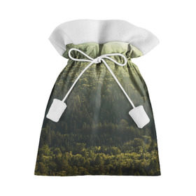 Подарочный 3D мешок с принтом Летний лес в Тюмени, 100% полиэстер | Размер: 29*39 см | Тематика изображения на принте: дерево | деревья | зеленый | лес | лето | небо | облако | солнце | темный | ярко