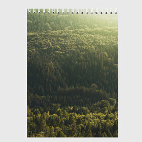 Скетчбук с принтом Летний лес в Тюмени, 100% бумага
 | 48 листов, плотность листов — 100 г/м2, плотность картонной обложки — 250 г/м2. Листы скреплены сверху удобной пружинной спиралью | дерево | деревья | зеленый | лес | лето | небо | облако | солнце | темный | ярко