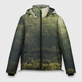 Мужская зимняя куртка 3D с принтом Летний лес в Тюмени, верх — 100% полиэстер; подкладка — 100% полиэстер; утеплитель — 100% полиэстер | длина ниже бедра, свободный силуэт Оверсайз. Есть воротник-стойка, отстегивающийся капюшон и ветрозащитная планка. 

Боковые карманы с листочкой на кнопках и внутренний карман на молнии. | дерево | деревья | зеленый | лес | лето | небо | облако | солнце | темный | ярко