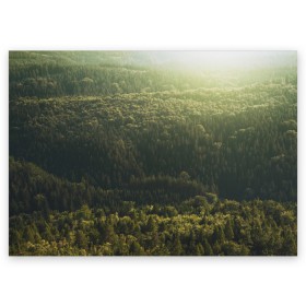 Поздравительная открытка с принтом Летний лес в Тюмени, 100% бумага | плотность бумаги 280 г/м2, матовая, на обратной стороне линовка и место для марки
 | дерево | деревья | зеленый | лес | лето | небо | облако | солнце | темный | ярко