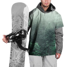 Накидка на куртку 3D с принтом Туманный лес в Тюмени, 100% полиэстер |  | Тематика изображения на принте: дерево | деревья | зеленый | лес | облака | облако | снег | темный