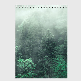 Скетчбук с принтом Туманный лес в Тюмени, 100% бумага
 | 48 листов, плотность листов — 100 г/м2, плотность картонной обложки — 250 г/м2. Листы скреплены сверху удобной пружинной спиралью | дерево | деревья | зеленый | лес | облака | облако | снег | темный