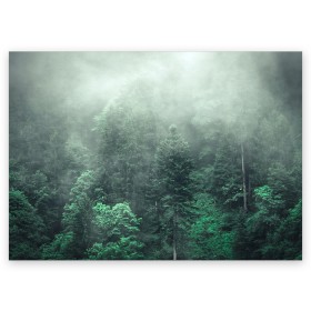 Поздравительная открытка с принтом Туманный лес в Тюмени, 100% бумага | плотность бумаги 280 г/м2, матовая, на обратной стороне линовка и место для марки
 | Тематика изображения на принте: дерево | деревья | зеленый | лес | облака | облако | снег | темный